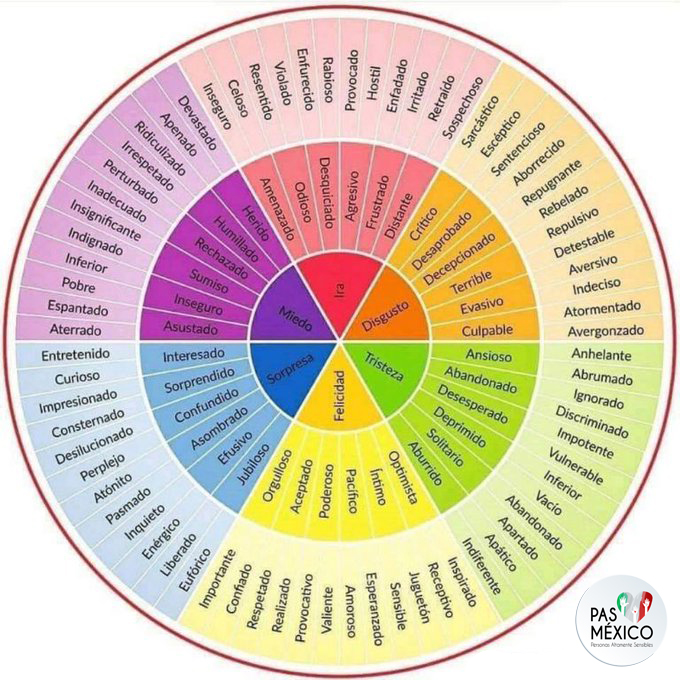 Rueda de las emociones.